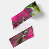 Coleus Macro Ripsband (Rückseite)