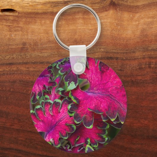 Coleus Macro Schlüsselanhänger (Vorderseite)