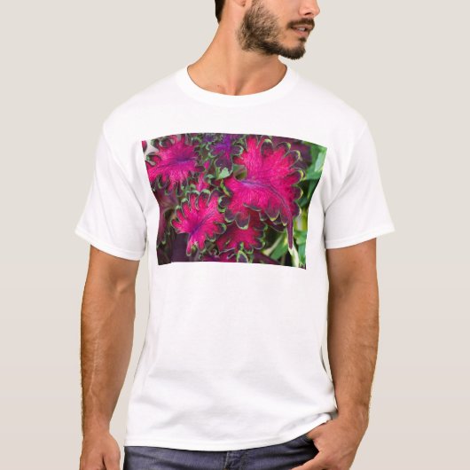 Coleus Macro T-Shirt (Vorderseite)
