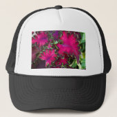 Coleus Macro Truckerkappe (Vorderseite)