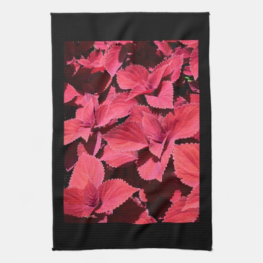 Coleus Nah-up Geschirrtuch (Vertikal)