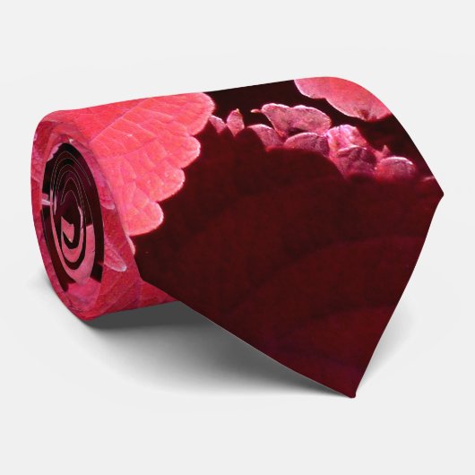 Coleus Nah-up Krawatte (Gerollt)