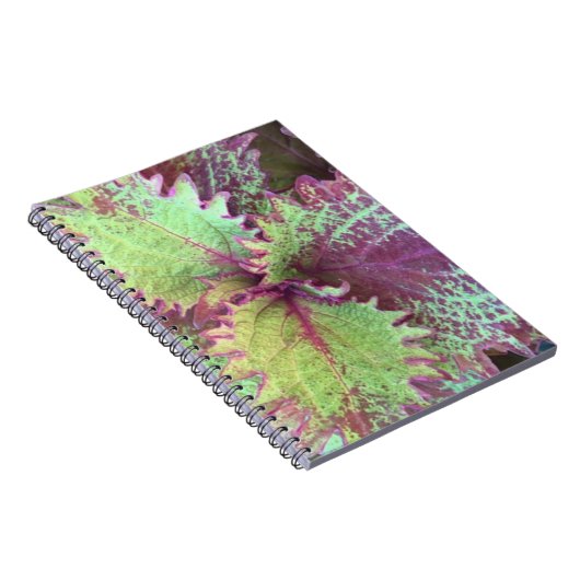 Coleus Notizblock (Rechte Seite)
