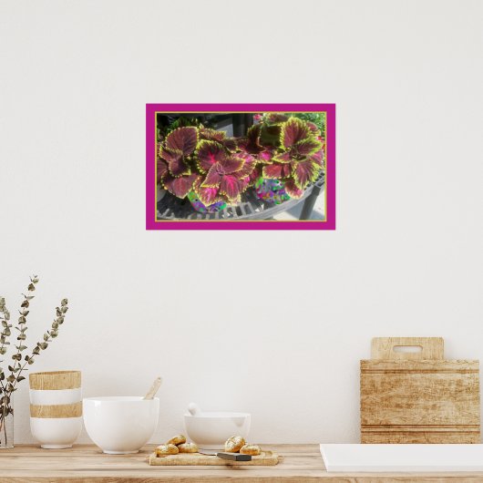 Coleus Pflanze Poster (Küche)