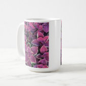 Coleus Tasse (Vorderseite Links)