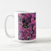 Coleus Tasse (Links)
