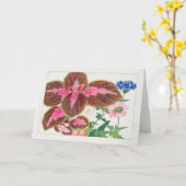 Coleus, Verbena, Tanigami Konan Karte (Gelbe Blume)