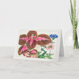 Coleus, Verbena, Tanigami Konan Karte