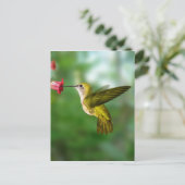 Colibri De Oro República Dominicana Postkarte (Stehend Vorderseite)