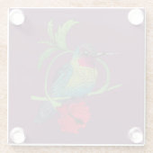 Colibri Illustration Glass Untersetzer (Rückseite)