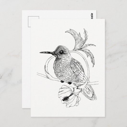 Colibri Illustration Postkarte (Vorne/Hinten)
