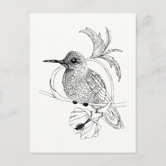 Colibri Illustration Postkarte (Vorderseite)