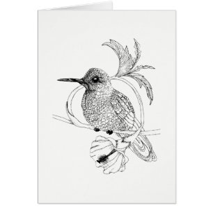 Colibri-Illustrationskarte