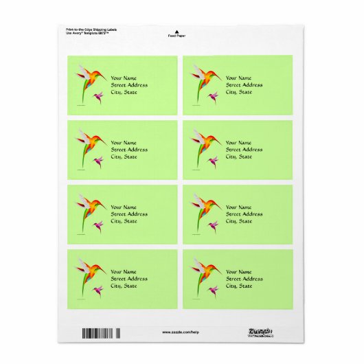 Colibri-Vögel (Vorne)