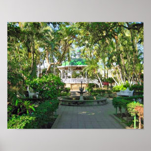 Colima, Mexiko 14"" Plakat x11