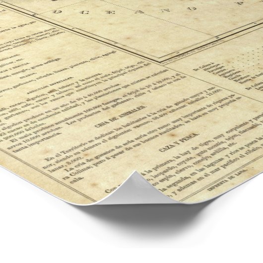 Colima, Mexiko Poster (Ecke)