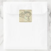 Colima, Mexiko Quadratischer Aufkleber (Tasche)