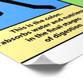 Colitis-Poster Poster (Ecke)