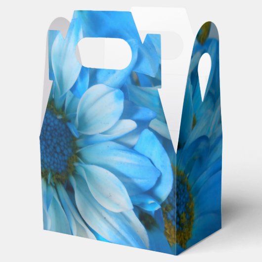 Collaert Geschenkschachtel (Geöffnet)