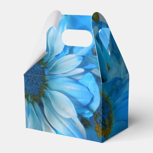 Collaert Geschenkschachtel (Vorderseite)