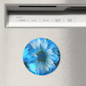 Collaert Magnet (In Situ (Geschirrspüler))