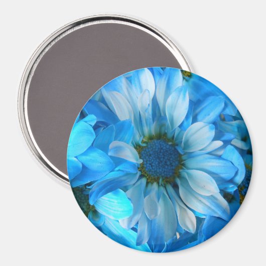 Collaert Magnet (Vorderseite/Rückseite)