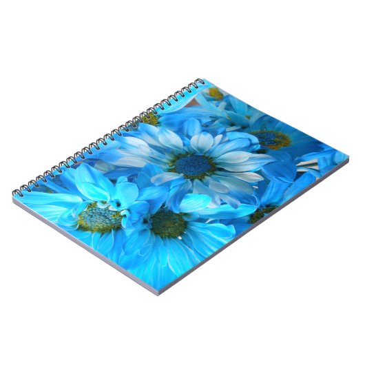 Collaert Notizblock (Linke Seite)