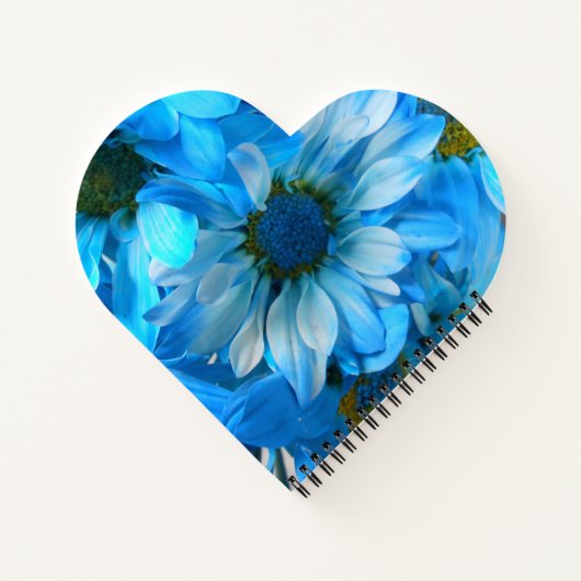 Collaert Notizbuch (Rückseite)