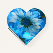 Collaert Notizbuch (Vorderseite)