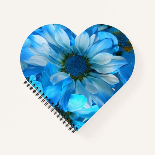 Collaert Notizbuch (Vorderseite)