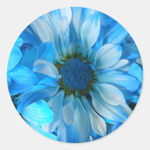 Collaert Runder Aufkleber