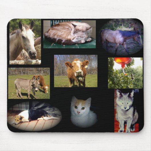 Collage 1, Mousepad (Vorne)