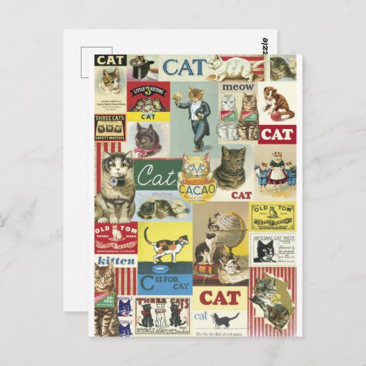 Collage Chats Vintag Postkarte (Vorne/Hinten)
