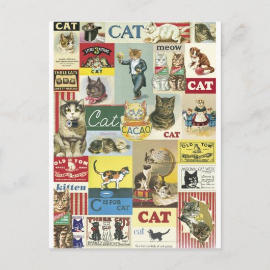 Collage Chats Vintag Postkarte (Vorderseite)