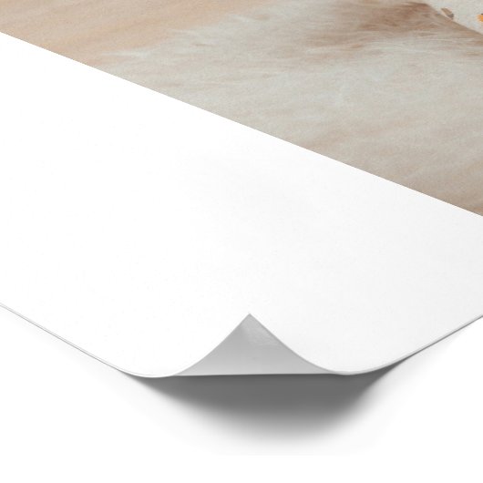 Collage Foto & Beste Oma je Bestes Schönheitsgesch Poster (Ecke)