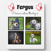 Collage - Hund-Foto - angepasster Speicher Fotoplatte (Vorderseite)