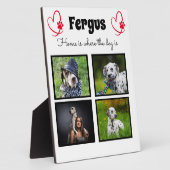 Collage - Hund-Foto - angepasster Speicher Fotoplatte (Seite)