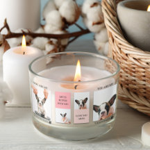 Collage Hund-Fotos | Hund ist meine Valentine | Ro