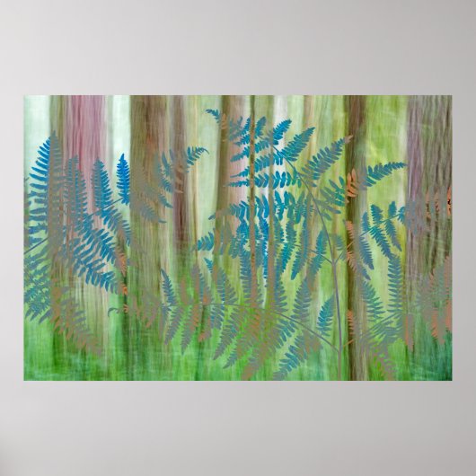 Collage of Bracken Ferns and Forest | Seabeck, WA Poster (Vorne)