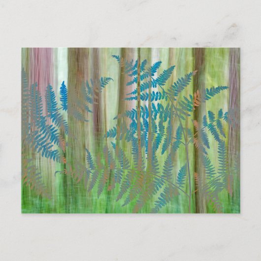 Collage of Bracken Ferns and Forest | Seabeck, WA Postkarte (Vorderseite)