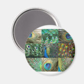 Collage of Green Blue Peacock Foto Magnet (Vorderseite/Rückseite)