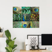 Collage of Green Blue Peacock Foto Poster (Heimbüro)