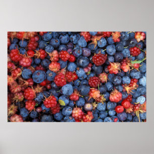 Collage of Wild Berries Blueberries Himbeeren Poster