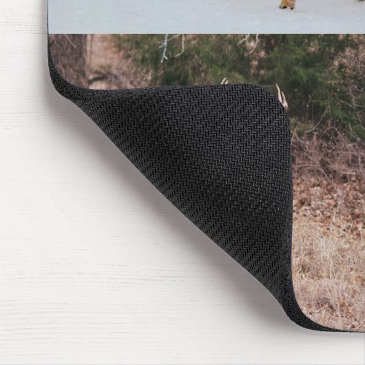 Collage of Wild Deer in Texas Seasonal Mouse Pad Mousepad (Ecke)