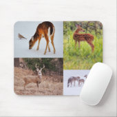 Collage of Wild Deer in Texas Seasonal Mouse Pad Mousepad (Mit Mouse)