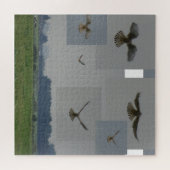 Collage Puzzle: Eemnes Polder BIRD OF PREY Puzzle (Horizontal)