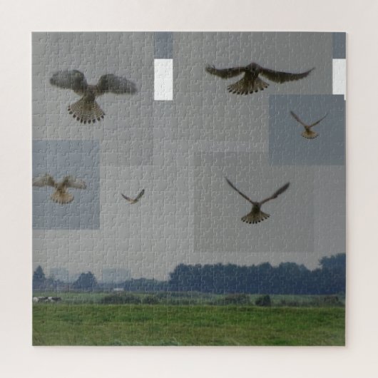 Collage Puzzle: Eemnes Polder BIRD OF PREY Puzzle (Vertikal)
