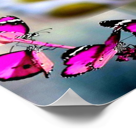 Collage Schmetterling_Pink Poster (Ecke)