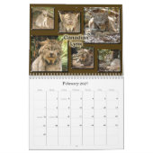 Collage-Schneeleopard Kalender (Feb 2027)