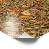 Collage Set von Gewürzen und Lebensmittelzutaten Fotodruck (Ecke)